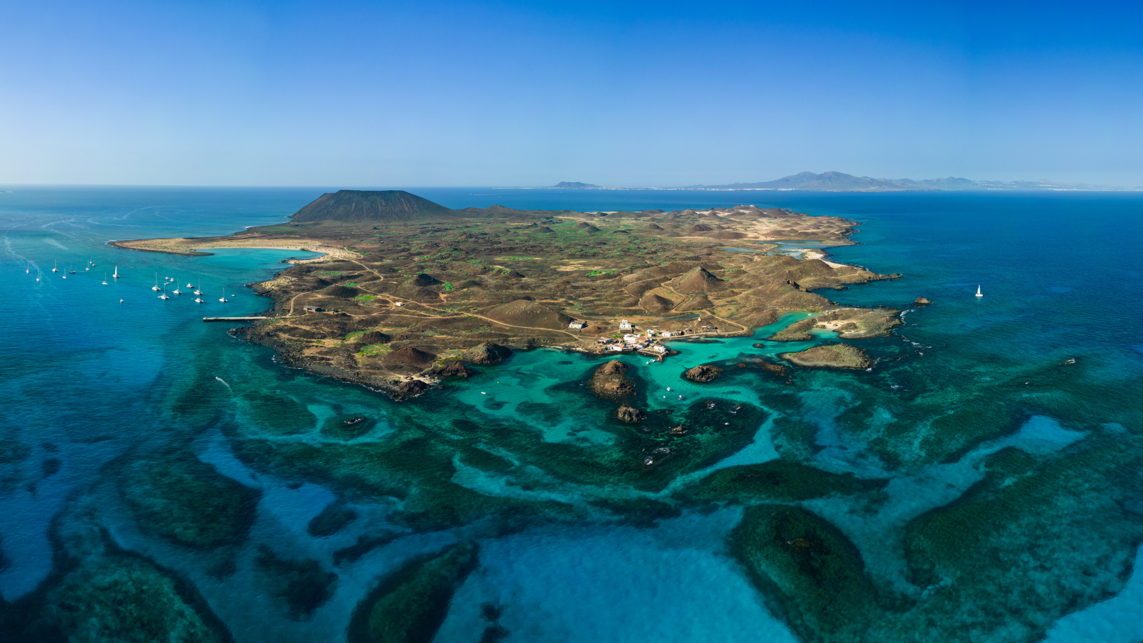The Living Galápagos