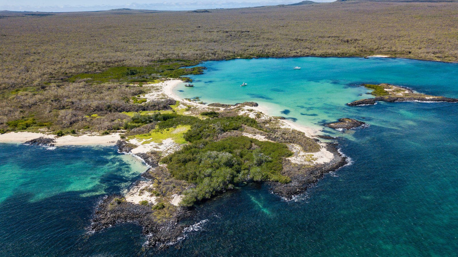 The Living Galápagos , image 8