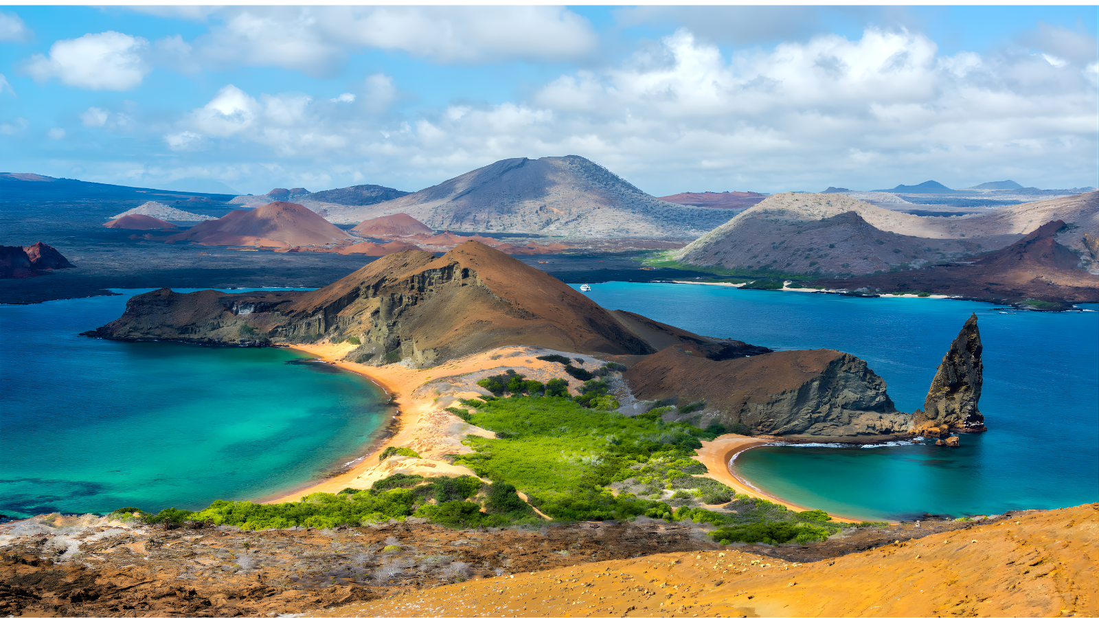 The Living Galápagos , image 10